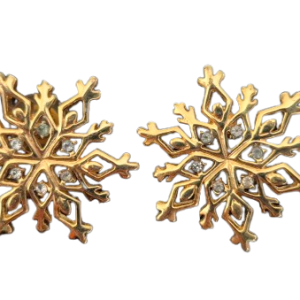 Dangling Earrings