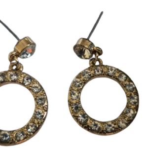 Circle Earrings