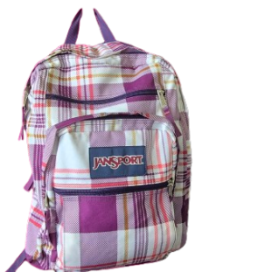 Ladies Tote Bag