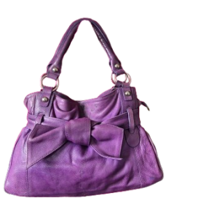 Ladies Tote Bag