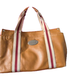 Ladies Tote Bag