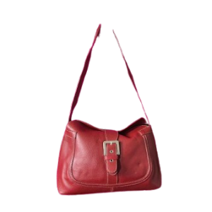 Ladies Hobo Bag